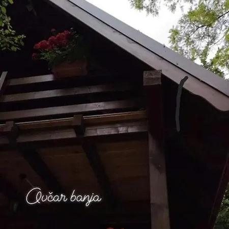 Ovcar Banja Holiday home Cacak