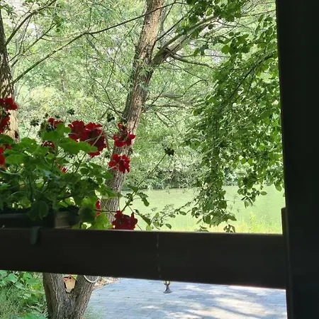 Tatil Evi Ovcar Banja Čačak