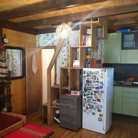 Ovcar Banja Holiday home *