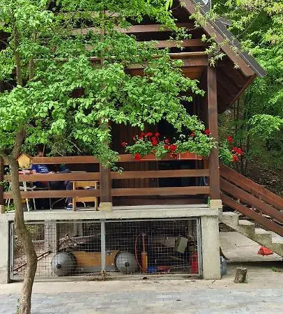Ovcar Banja Holiday home Cacak