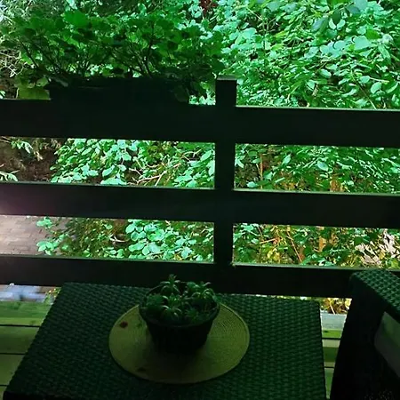 Tatil Evi Ovcar Banja