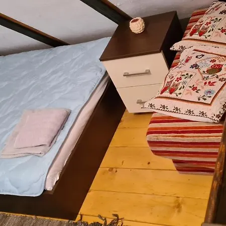Ovcar Banja Holiday home *